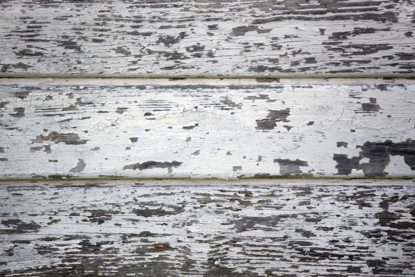 Lead Paint Abatement