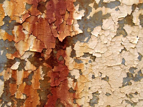 Grow your Lead Paint Elimination business