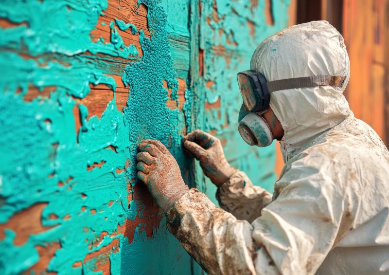 Lead Paint Elimination